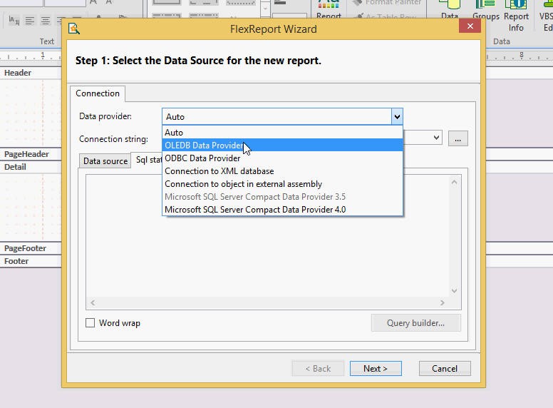 ReportWizard Step 1: Data Provider