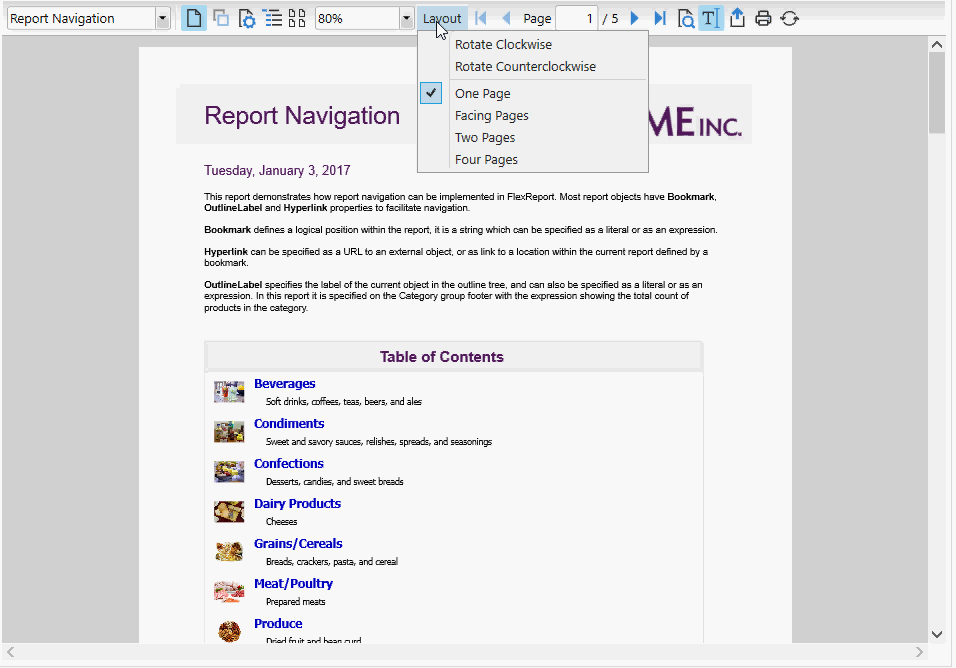 Layout options in the WPF report viewer