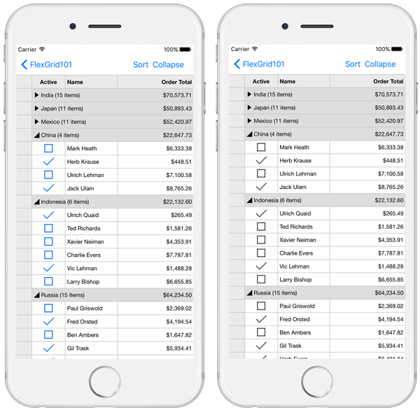 outlinely iphone checkboxes